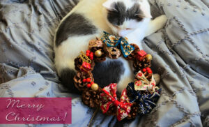 クリスマスリースを飾ろう♪